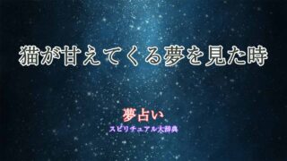 夢占い-猫が甘えてくる