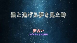 夢占い-猫と逃げる