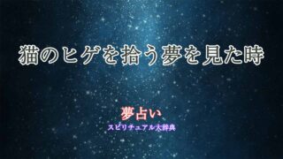 夢占い-猫のヒゲ拾う