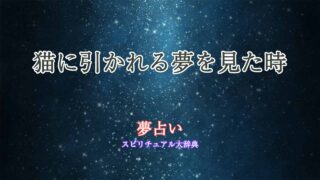 夢占い-猫ひく
