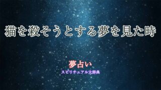 夢占い-猫を殺そうとする