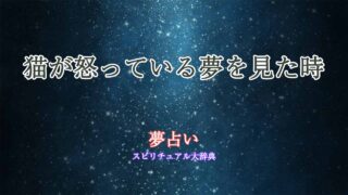 夢占い-猫怒る