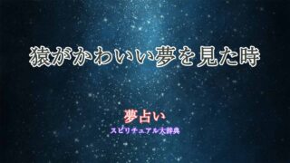夢占い-猿-かわいい