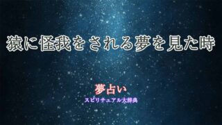 夢占い-猿-怪我