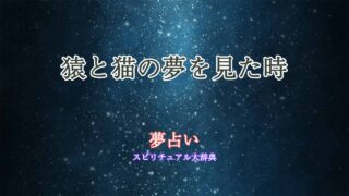 夢占い-猿と猫