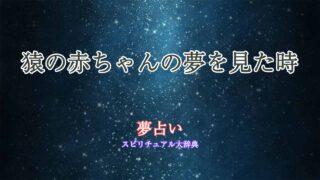 夢占い-猿の赤ちゃん