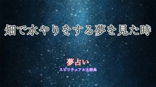 夢占い-畑-水やり