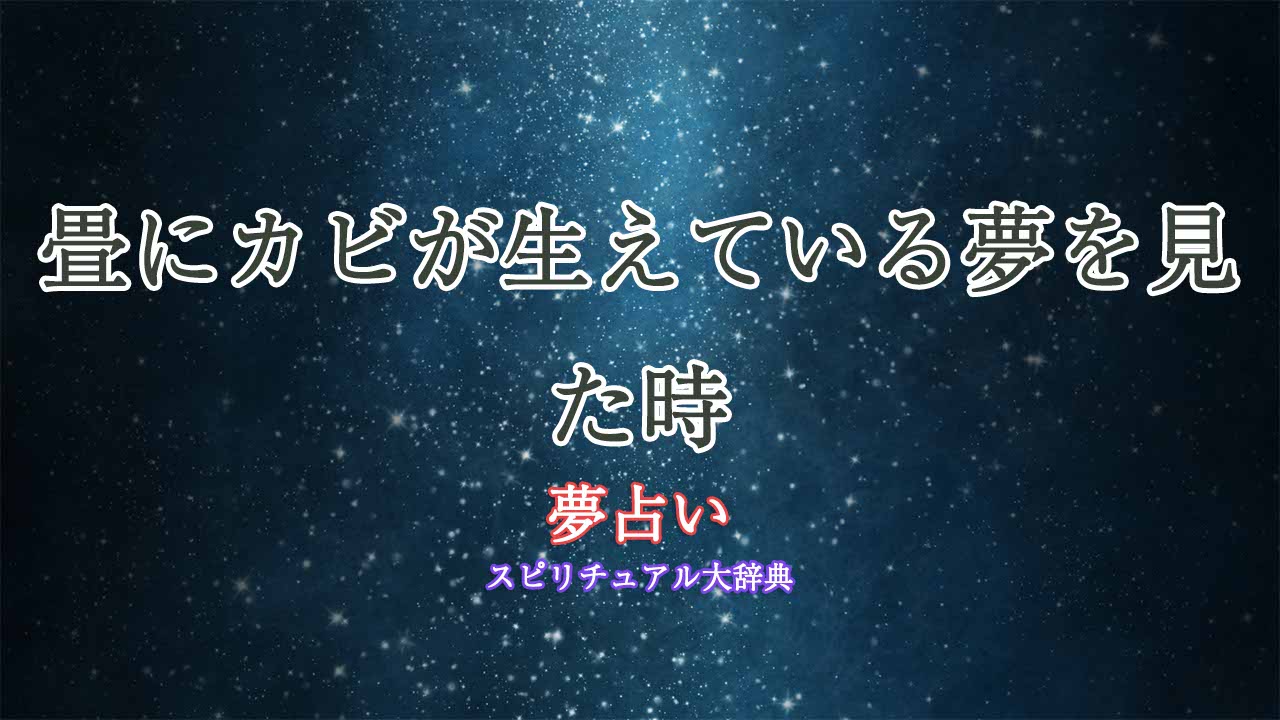 夢占い-畳-カビ