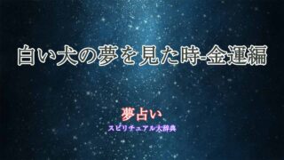 夢占い-白い犬-金運