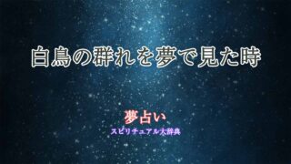 夢占い-白鳥の群れ