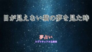 夢占い-目が見えない猫