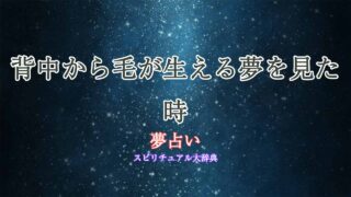 夢占い-背中から毛