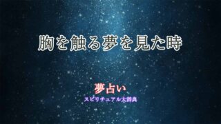夢占い-胸-触る