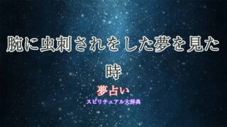 夢占い-腕-虫刺され