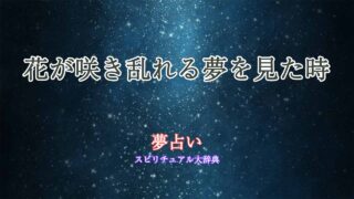 夢占い-花-咲き乱れる