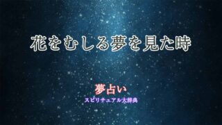 夢占い-花をむしる