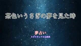 夢占い-茶色うさぎ