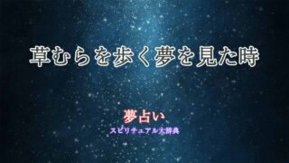夢占い-草むらを歩く