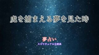 夢占い-虎-捕まえる