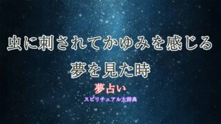 夢占い-虫刺され-かゆみ