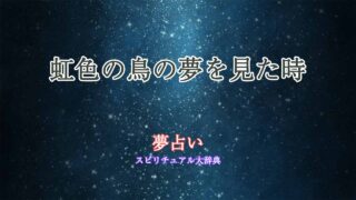 夢占い-虹色の鳥