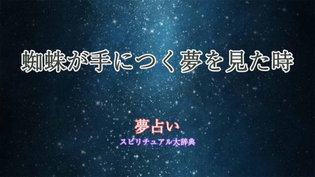 夢占い-蜘蛛が手につく