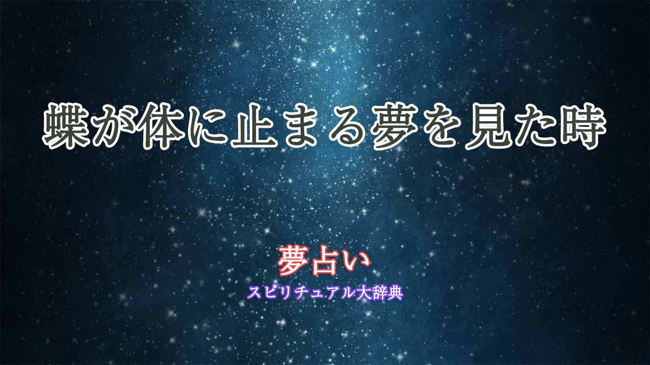 夢占い-蝶-体に止まる