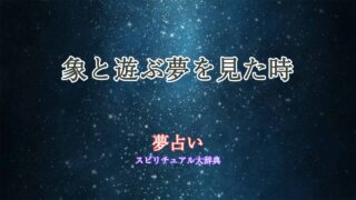夢占い-象と遊ぶ