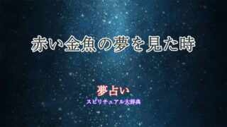 夢占い-赤い金魚