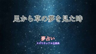 夢占い-足から草