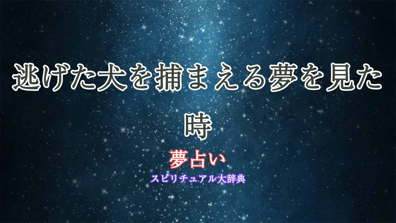 夢占い-逃げた犬を捕まえる
