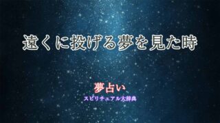 夢占い-遠投