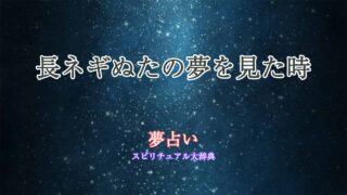 夢占い-長ネギぬた