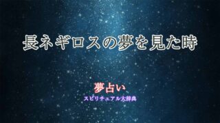 夢占い-長ネギロス