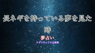 夢占い-長ネギ持ち