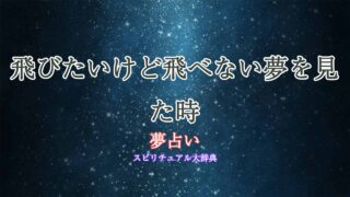 夢占い-飛びたいけど飛べない