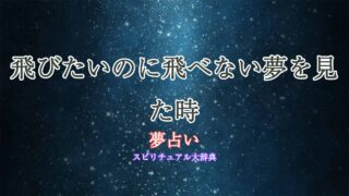 夢占い-飛びたいのに飛べない