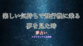 夢占い-飛行機-楽しい