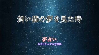 夢占い-飼い猫-病気