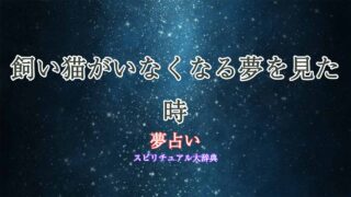 夢占い-飼い猫がいなくなる