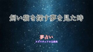 夢占い-飼い猫を探す