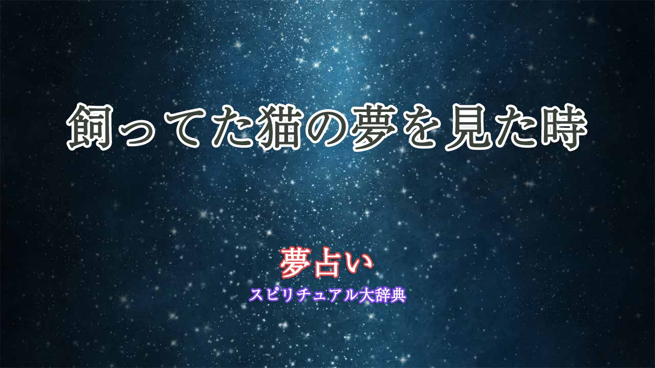 夢占い-飼ってた猫