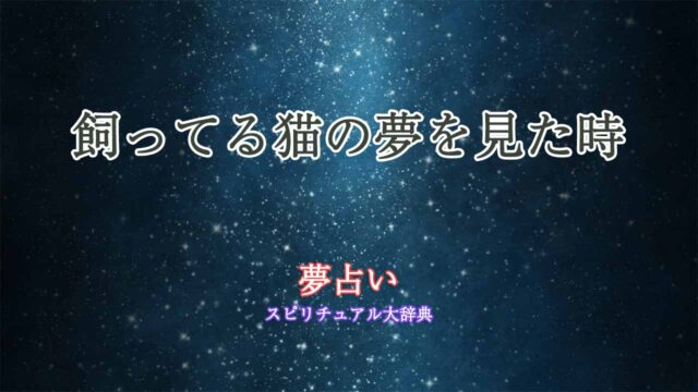 夢占い-飼ってる猫