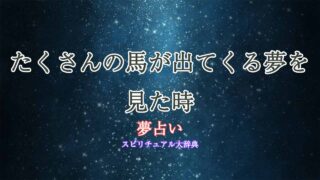 夢占い-馬-たくさん