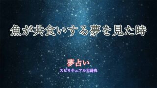 夢占い-魚-共食い