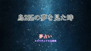 夢占い-鳥2匹