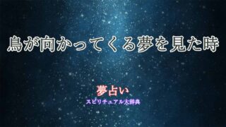 夢占い-鳥が向かってくる