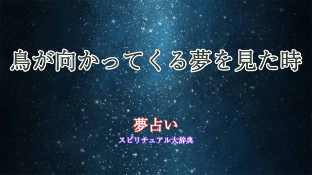 夢占い-鳥が向かってくる