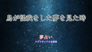 夢占い-鳥が怪我