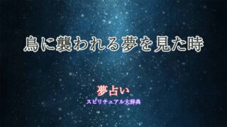 夢占い-鳥に襲われる